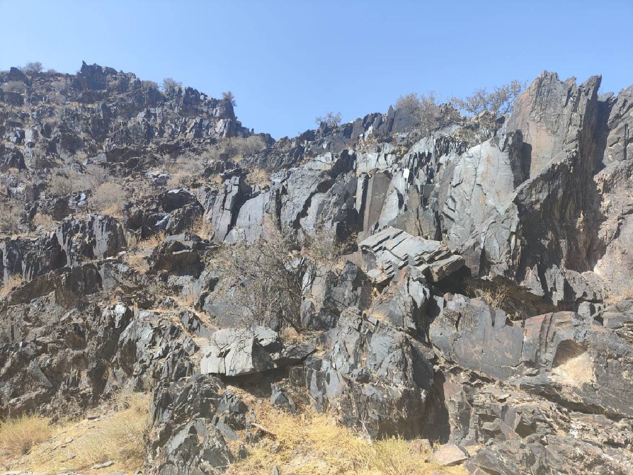 Юртовый лагерь ,, Айдаркуль ,,